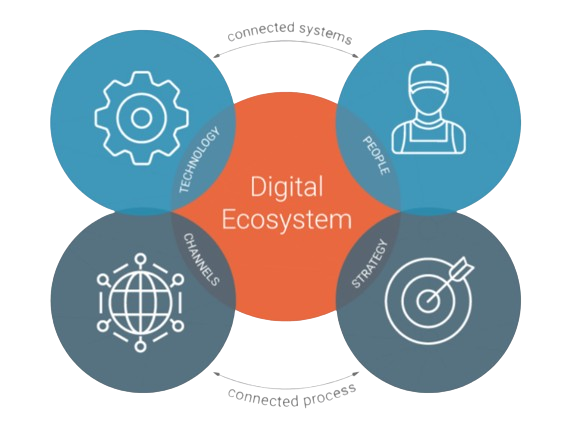 Your Partner in Digital Excellence​ - Digital Ecosystem